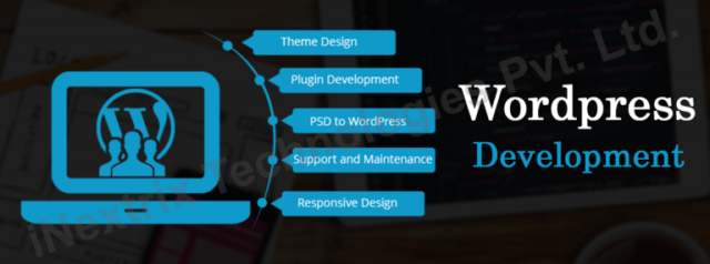 Wordpress Plugin Development Service